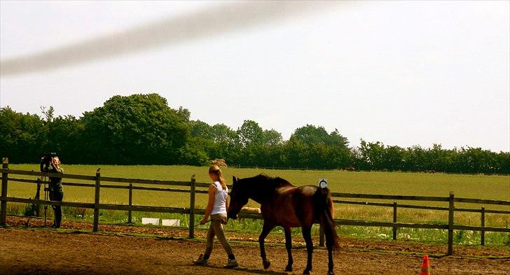 Ridelejr oppe hos Mia lykke nielsen :D billede 9