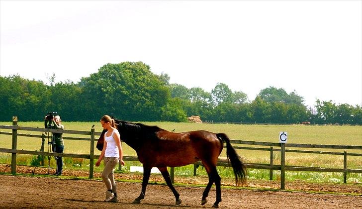 Ridelejr oppe hos Mia lykke nielsen :D billede 10