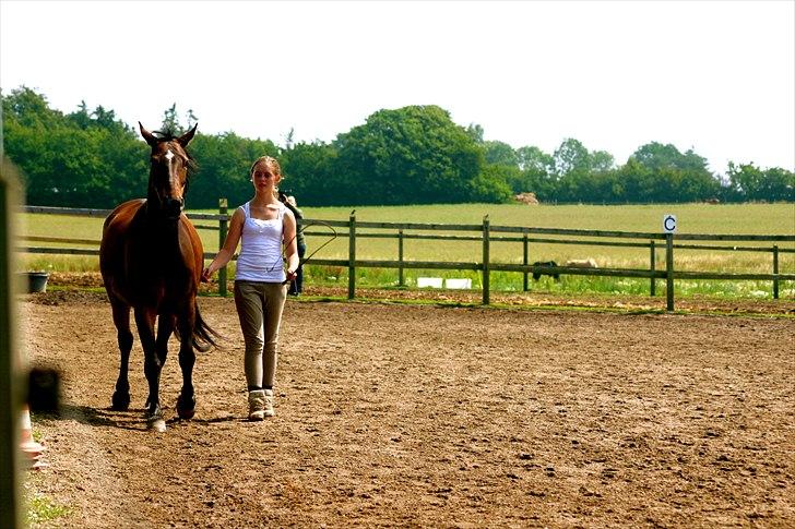 Ridelejr oppe hos Mia lykke nielsen :D billede 13