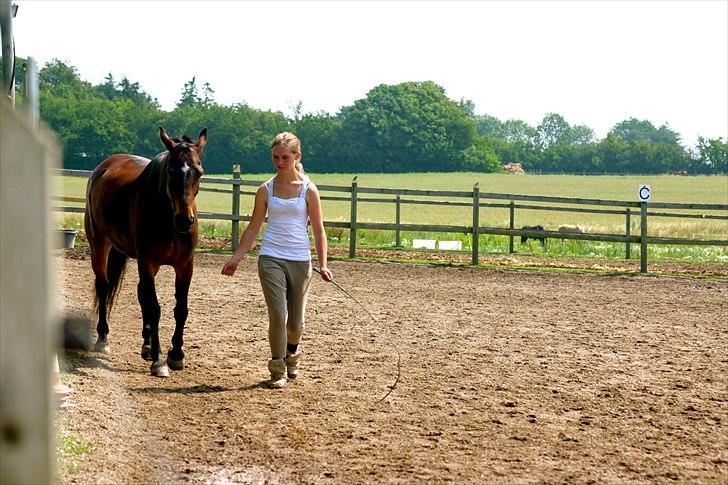 Ridelejr oppe hos Mia lykke nielsen :D billede 14