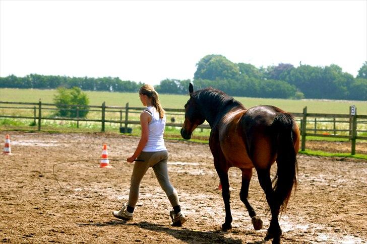 Ridelejr oppe hos Mia lykke nielsen :D billede 17