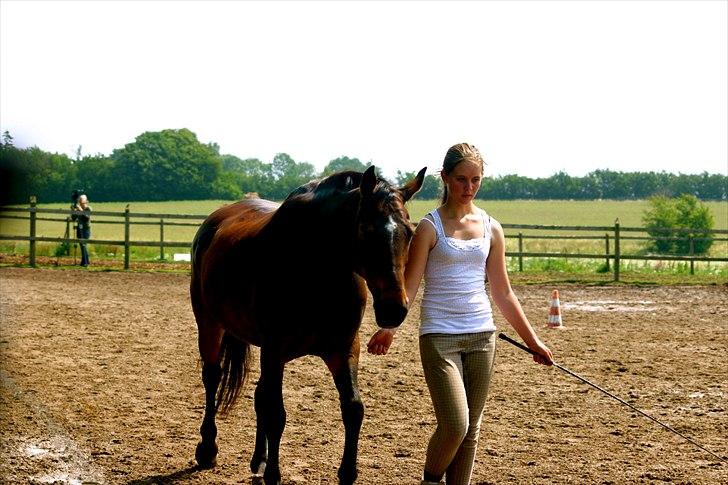 Ridelejr oppe hos Mia lykke nielsen :D billede 20