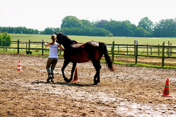 Ridelejr oppe hos Mia lykke nielsen :D billede 23