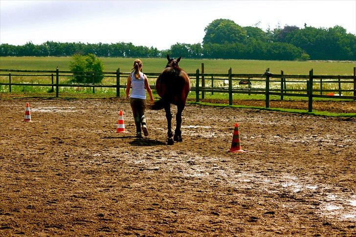 Ridelejr oppe hos Mia lykke nielsen :D billede 24