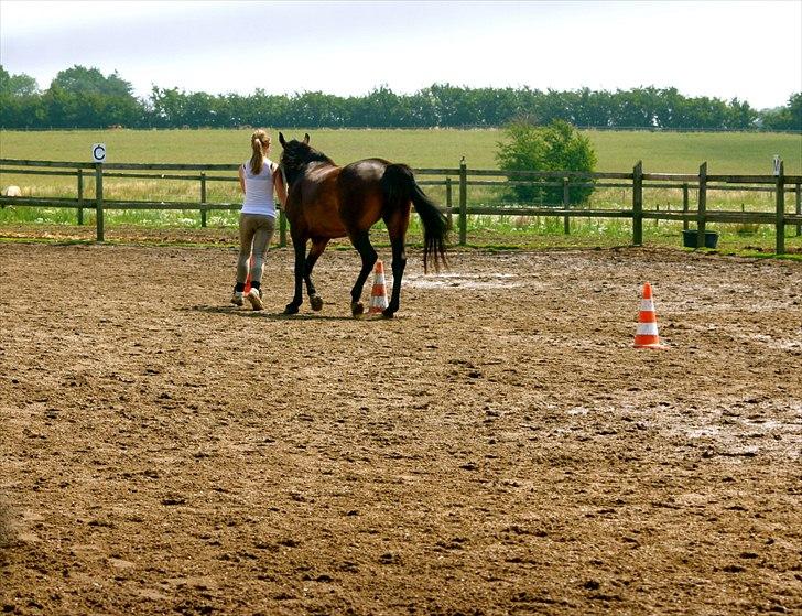 Ridelejr oppe hos Mia lykke nielsen :D billede 27