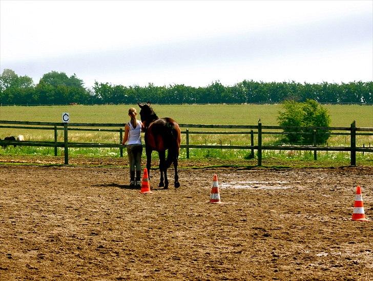 Ridelejr oppe hos Mia lykke nielsen :D billede 29