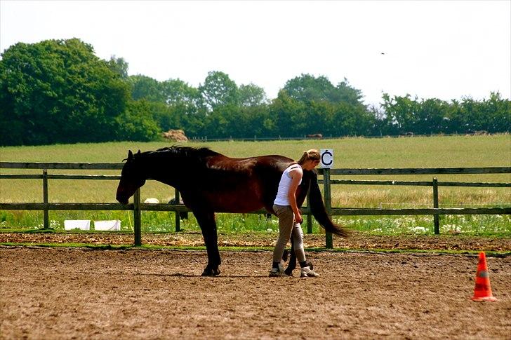 Ridelejr oppe hos Mia lykke nielsen :D billede 30