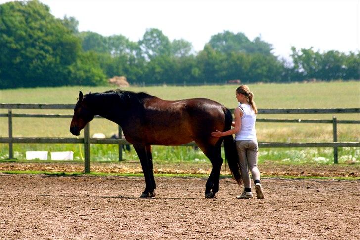 Ridelejr oppe hos Mia lykke nielsen :D billede 31