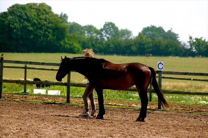 Ridelejr oppe hos Mia lykke nielsen :D billede 34