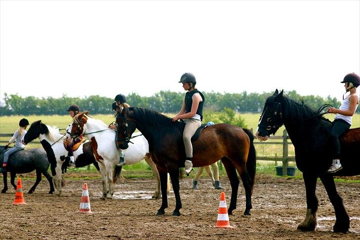 Ridelejr oppe hos Mia lykke nielsen :D billede 45