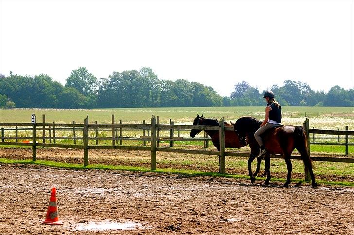 Ridelejr oppe hos Mia lykke nielsen :D billede 54