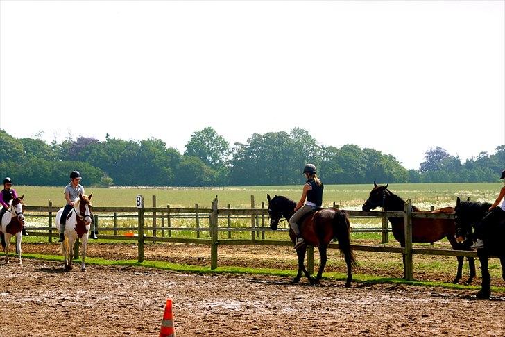 Ridelejr oppe hos Mia lykke nielsen :D billede 55