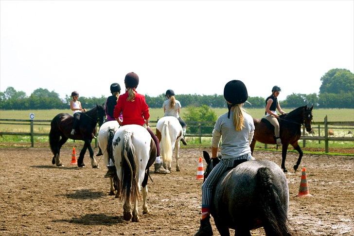 Ridelejr oppe hos Mia lykke nielsen :D billede 60