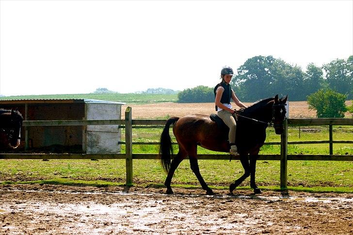 Ridelejr oppe hos Mia lykke nielsen :D billede 62