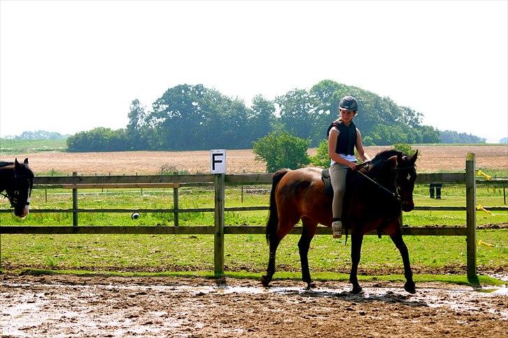 Ridelejr oppe hos Mia lykke nielsen :D billede 63