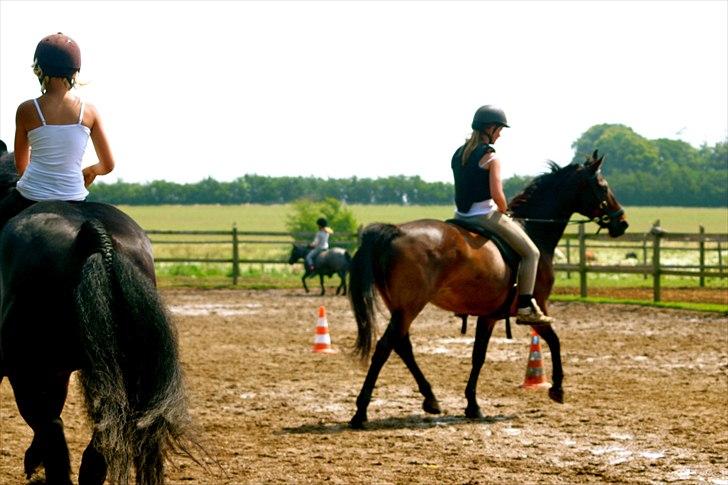 Ridelejr oppe hos Mia lykke nielsen :D billede 67