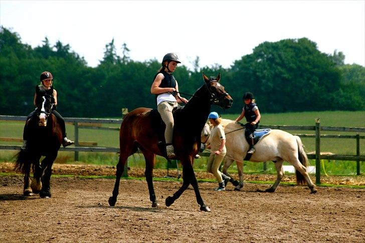 Ridelejr oppe hos Mia lykke nielsen :D billede 70