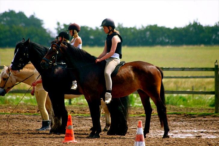 Ridelejr oppe hos Mia lykke nielsen :D billede 73