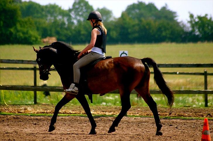 Ridelejr oppe hos Mia lykke nielsen :D billede 78