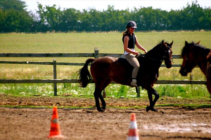 Ridelejr oppe hos Mia lykke nielsen :D billede 80