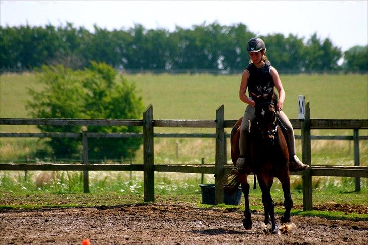 Ridelejr oppe hos Mia lykke nielsen :D billede 81