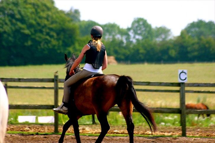 Ridelejr oppe hos Mia lykke nielsen :D billede 82