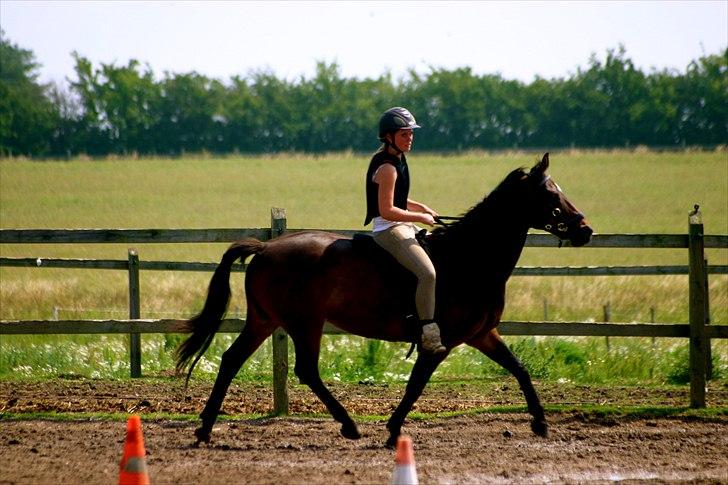 Ridelejr oppe hos Mia lykke nielsen :D billede 83