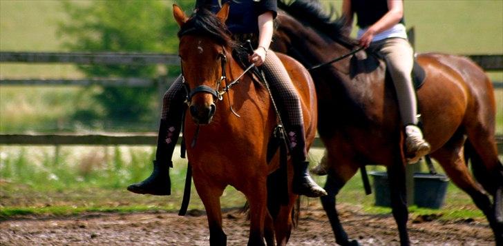 Ridelejr oppe hos Mia lykke nielsen :D billede 84