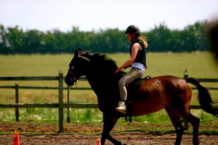 Ridelejr oppe hos Mia lykke nielsen :D billede 85