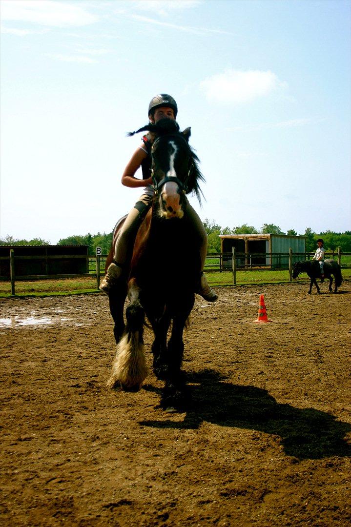 Ridelejr oppe hos Mia lykke nielsen :D billede 91