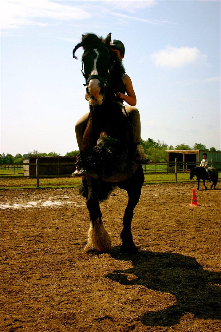 Ridelejr oppe hos Mia lykke nielsen :D billede 92