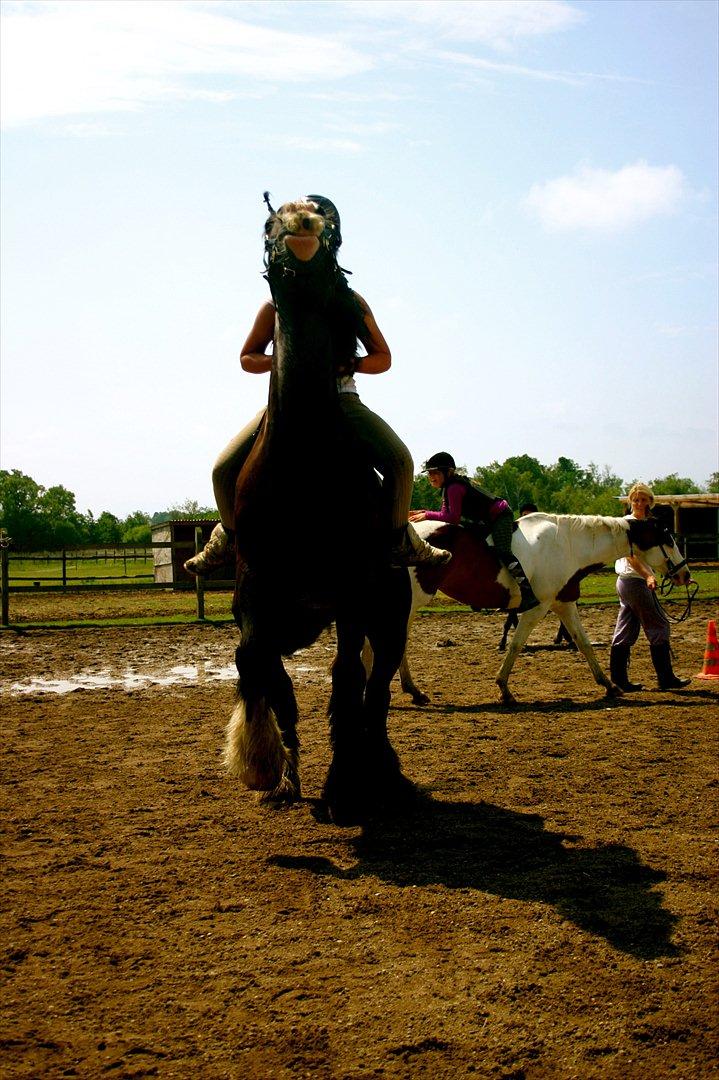 Ridelejr oppe hos Mia lykke nielsen :D billede 95