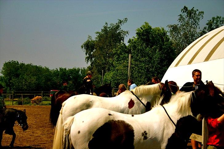 Ridelejr oppe hos Mia lykke nielsen :D billede 99