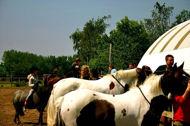 Ridelejr oppe hos Mia lykke nielsen :D billede 100