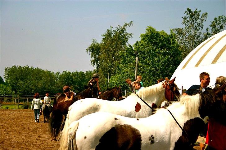 Ridelejr oppe hos Mia lykke nielsen :D billede 101