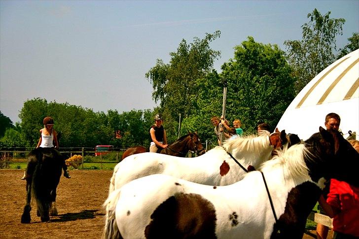 Ridelejr oppe hos Mia lykke nielsen :D billede 102