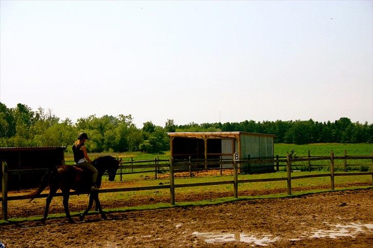 Ridelejr oppe hos Mia lykke nielsen :D billede 106