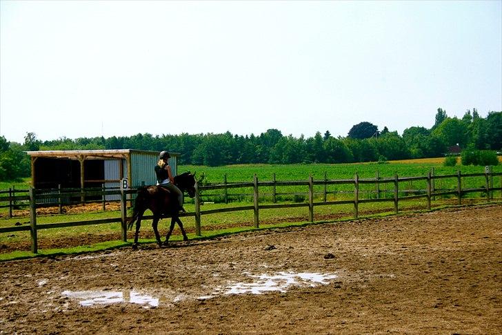 Ridelejr oppe hos Mia lykke nielsen :D billede 107