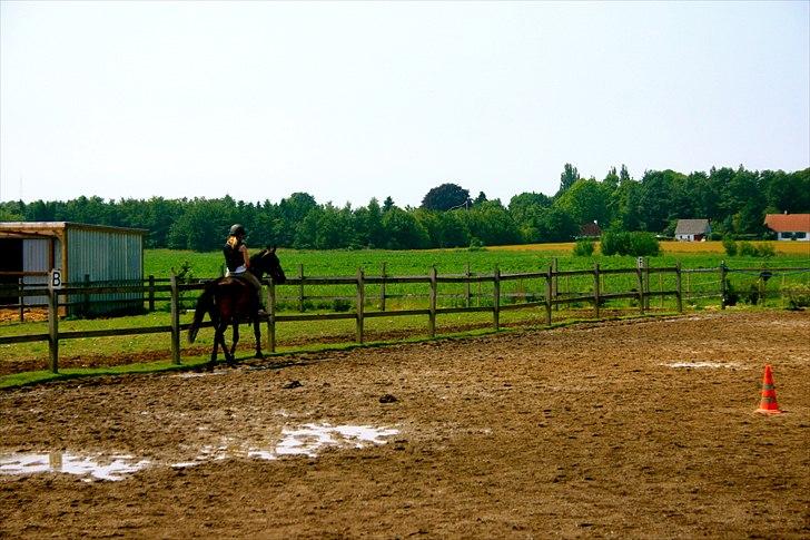 Ridelejr oppe hos Mia lykke nielsen :D billede 108