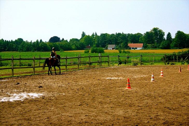 Ridelejr oppe hos Mia lykke nielsen :D billede 110