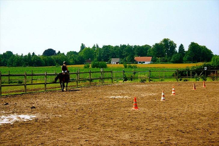 Ridelejr oppe hos Mia lykke nielsen :D billede 111