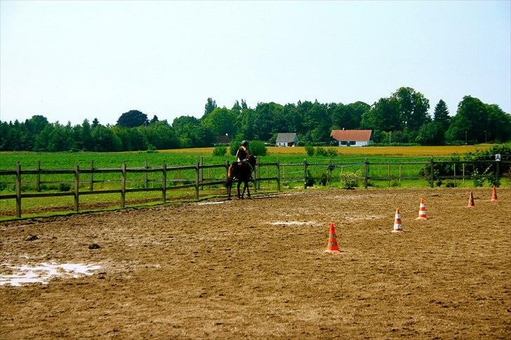 Ridelejr oppe hos Mia lykke nielsen :D billede 112