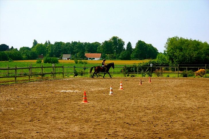 Ridelejr oppe hos Mia lykke nielsen :D billede 114