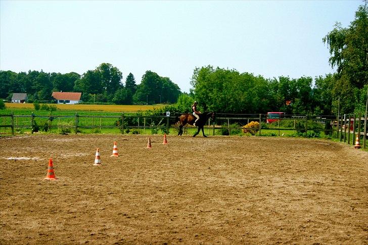 Ridelejr oppe hos Mia lykke nielsen :D billede 115