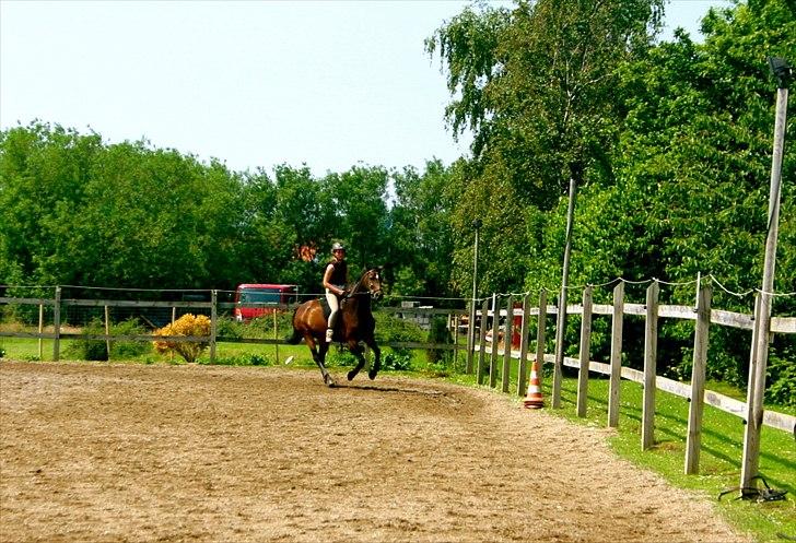 Ridelejr oppe hos Mia lykke nielsen :D billede 116