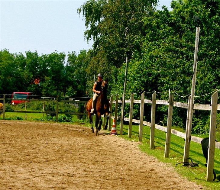 Ridelejr oppe hos Mia lykke nielsen :D billede 117