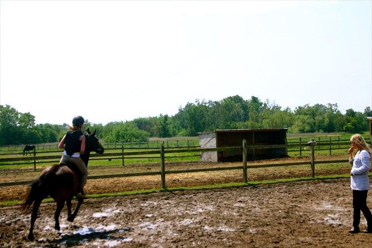 Ridelejr oppe hos Mia lykke nielsen :D billede 122