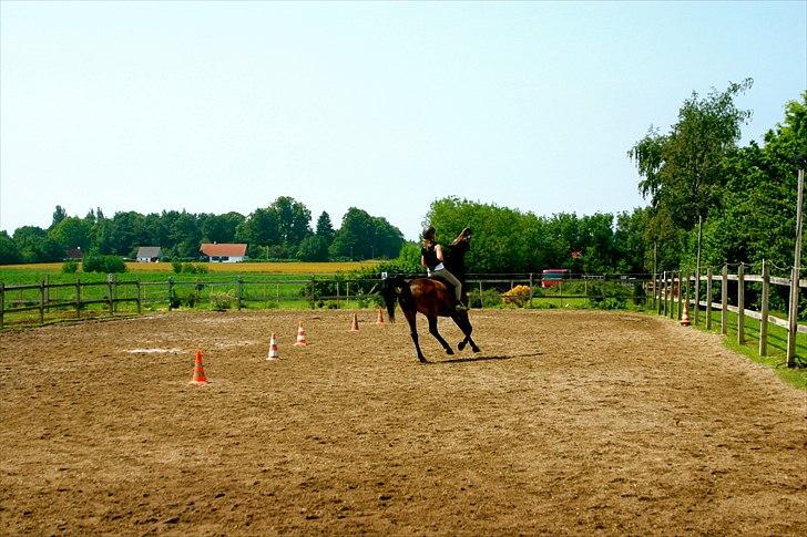 Ridelejr oppe hos Mia lykke nielsen :D billede 125