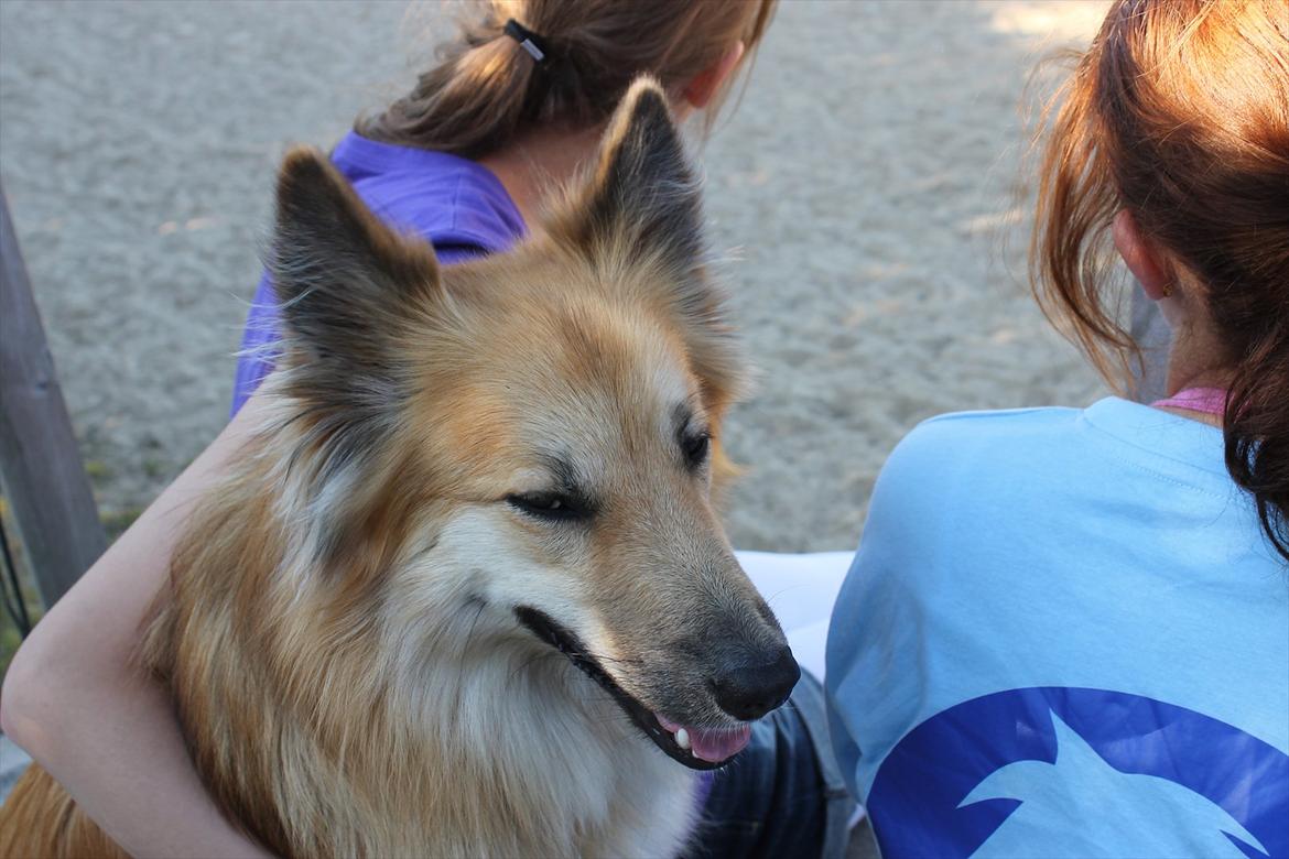 Ridelejr, BBH :D:D billede 46