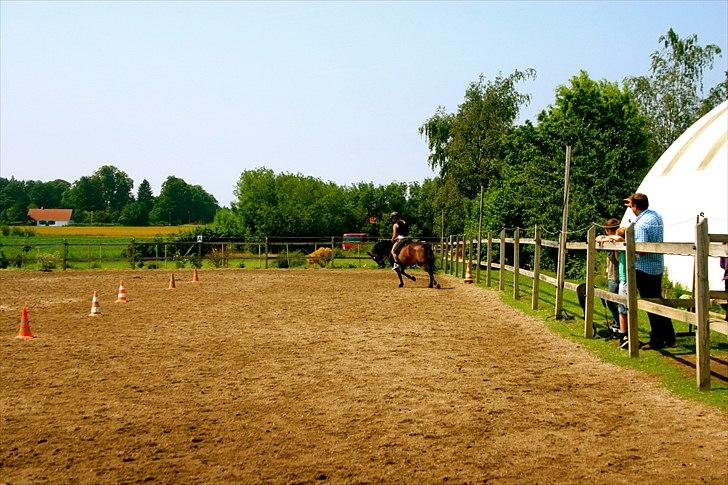 Ridelejr oppe hos Mia lykke nielsen :D billede 127